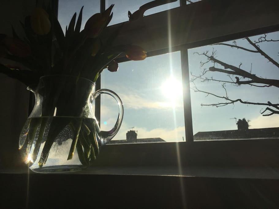 Brighton Boutique Garden Studio With Free Parking المظهر الخارجي الصورة